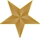 picture of gold star logo